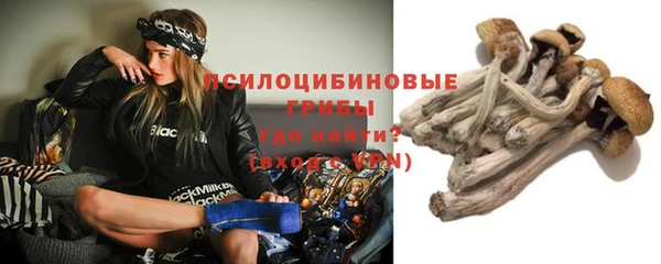 твердый Балахна