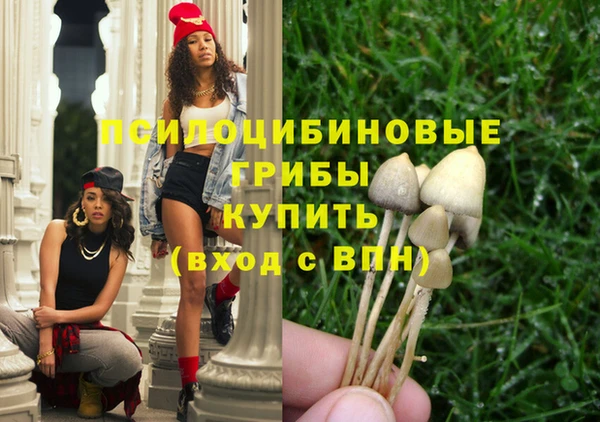 ГАЛЛЮЦИНОГЕННЫЕ ГРИБЫ Белокуриха
