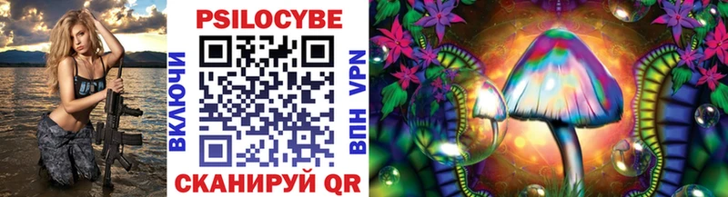 Галлюциногенные грибы Psilocybe  Купить  Болохово 